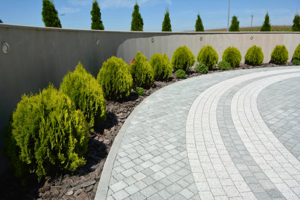 Best Professional Driveway Pavers  in Newton, NJ